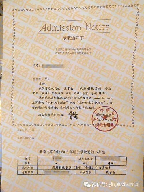 录取通知电影,梦想启航的青春篇章 第2张 录取通知电影,梦想启航的青春篇章 第2张